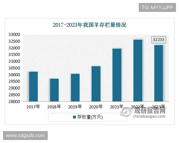 热那亚市政改革推进与2025年经济发展规划的深度分析