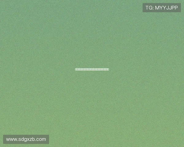 拜耳勒沃库森足球俱乐部历史辉煌与未来展望分析