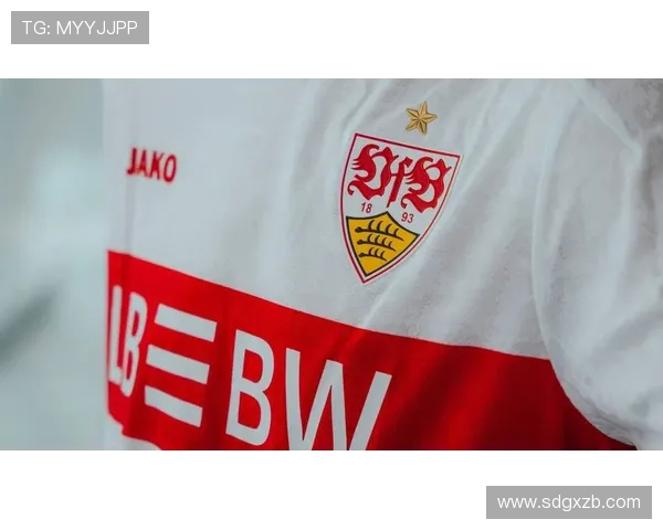 斯图加特足球俱乐部历史沿革与发展展望：德国足坛的重要力量