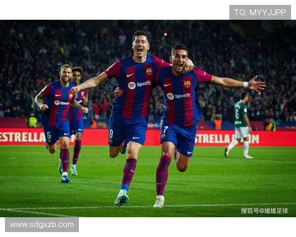 谢菲尔德星期三俱乐部百年荣光与城市足球精神的传承与复兴之路