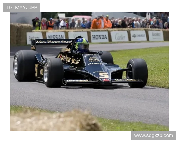 F1赛车世界再掀风云本赛季争冠格局与车队动态全景分析趋势观察