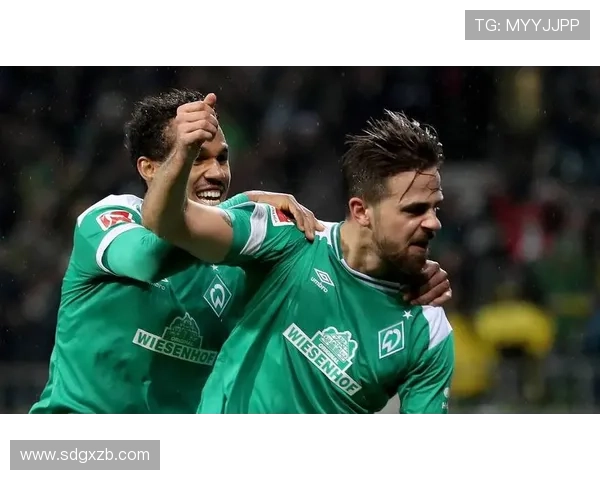 云达不来梅队伍更新：新赛季阵容调整与教练策略展望