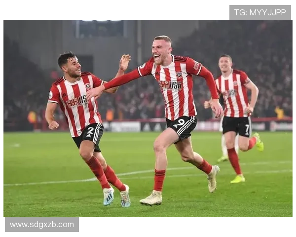 谢菲尔德星期三俱乐部迎来新赛季布局与管理层最新动态解析