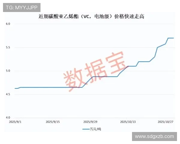 雷恩足球俱乐部崛起之路与法甲新势力的长期布局观察